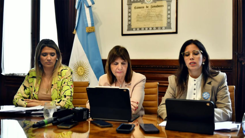 El oficialismo acordó con aliados la reforma de la Ley de Salud Mental