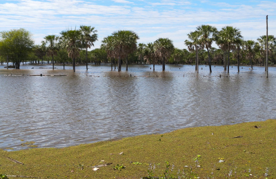 Lluvias intensas y crecida de los ríos para el último trimestre del año