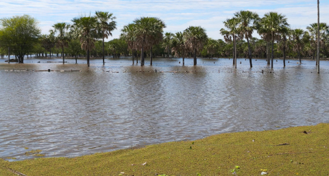 Lluvias intensas y crecida de los ríos para el último trimestre del año