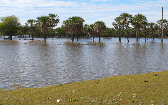 Lluvias intensas y crecida de los ríos para el último trimestre del año