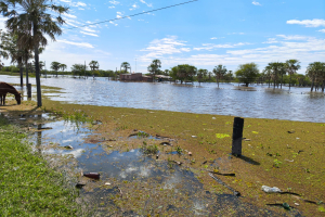 El Paraná y el Paraguay siguen superando los niveles de evacuación en la costa chaqueña