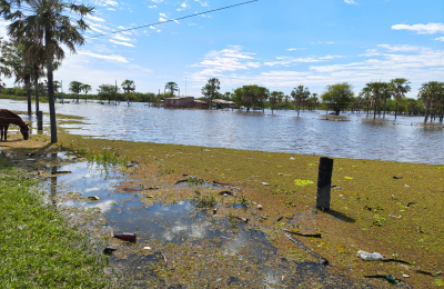 El Paraná y el Paraguay siguen superando los niveles de evacuación en la costa chaqueña