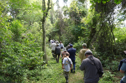 04 - Caminata por el monte nativo.jpg