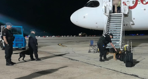 Una amenaza de bomba en el Aeropuerto de Resistencia movilizó un operativo en un avión con 180 pasajeros
