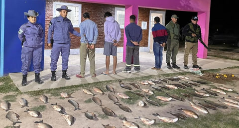 Vendían pescado por redes sociales: cuatro detenidos y casi 80 kilos de sábalos secuestrados