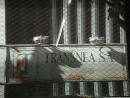 TRANSNEA+equipo.jpg