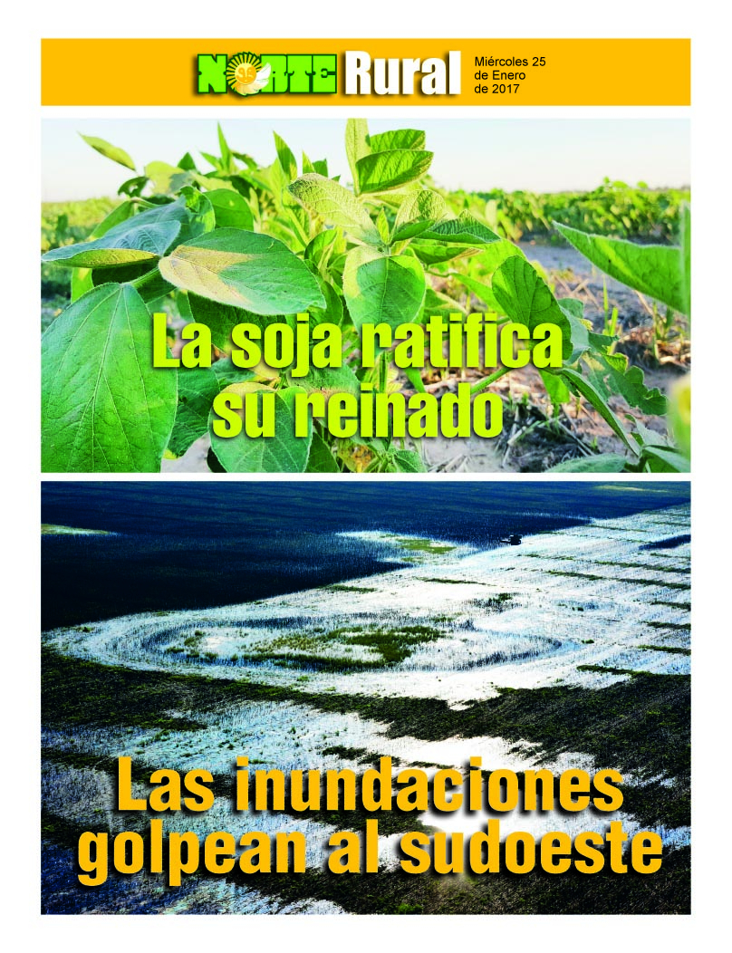 La soja ratifica su reinado