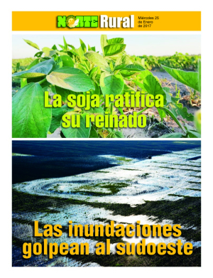 La soja ratifica su reinado