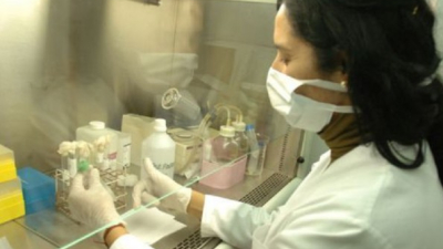 Ya son seis los casos probables de dengue en la provincia