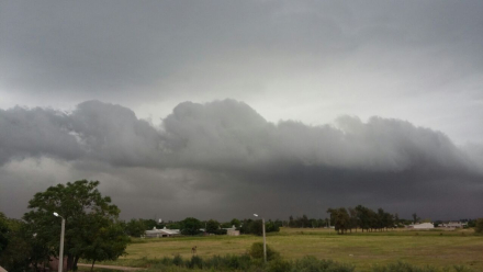 tormenta sp.jpeg