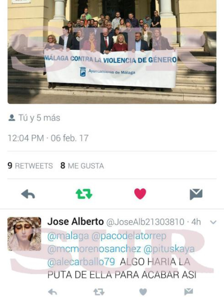diario sur.jpg