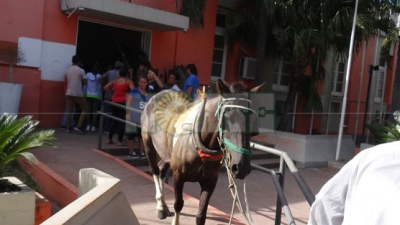 El intendente recibe esta tarde a los carreros que ingresaron al municipio