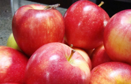 manzanas.jpg