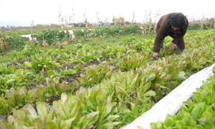 AGROECOLOGIA3.jpg