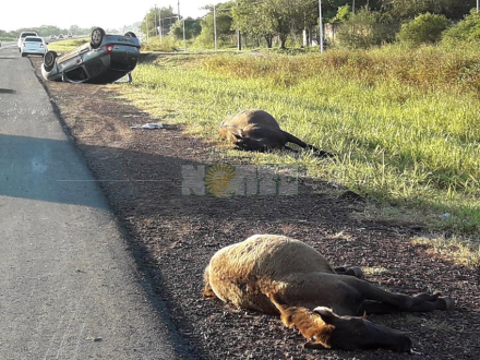 accidente1.jpg