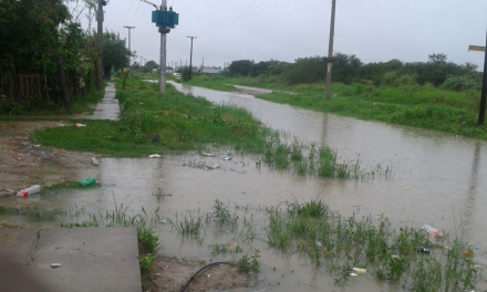 barrios2.jpg