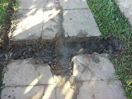 Vereda.jpg