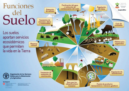 suelo2.jpg