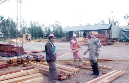 forestal.jpg
