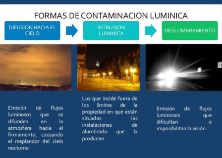 escolar4.jpg