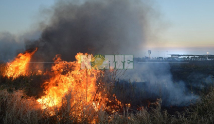 Incendio 4.jpg