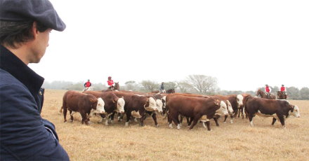 toro central.jpg