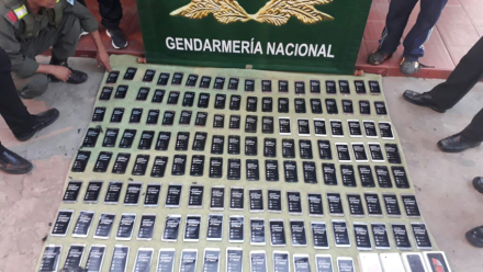 Gendarmeria celus.jpg
