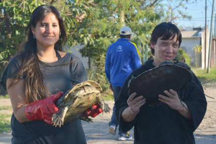 tortugas.jpg