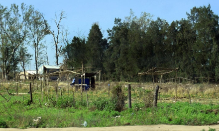 57POLICIAL-COOPERATIVATIROL.jpg