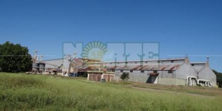 planta Cargil.jpg