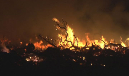58-INCENDIO-FORESTAL.jpg