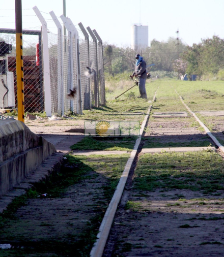 tren5.jpg