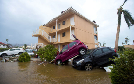 irma2.jpg