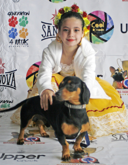 mascotas 1.jpg