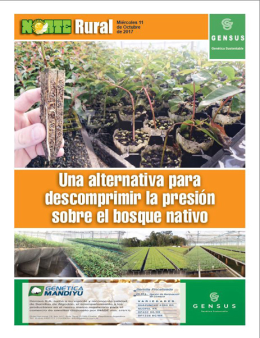 Una alternativa para descomprimir la presión sobre el bosque nativo