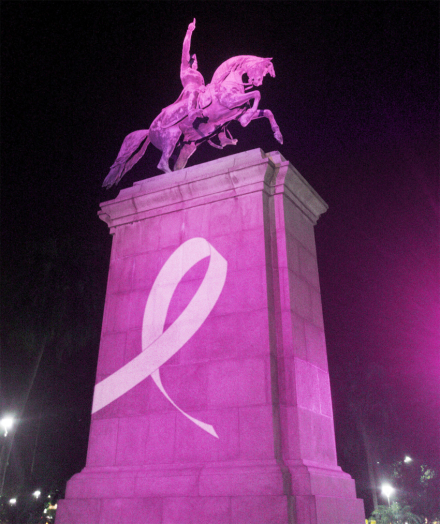 San Martin rosa.jpg