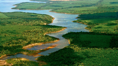 El Parque Nacional Iberá sumará más de 42.000 hectáreas