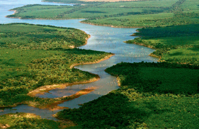El Parque Nacional Iberá sumará más de 42.000 hectáreas