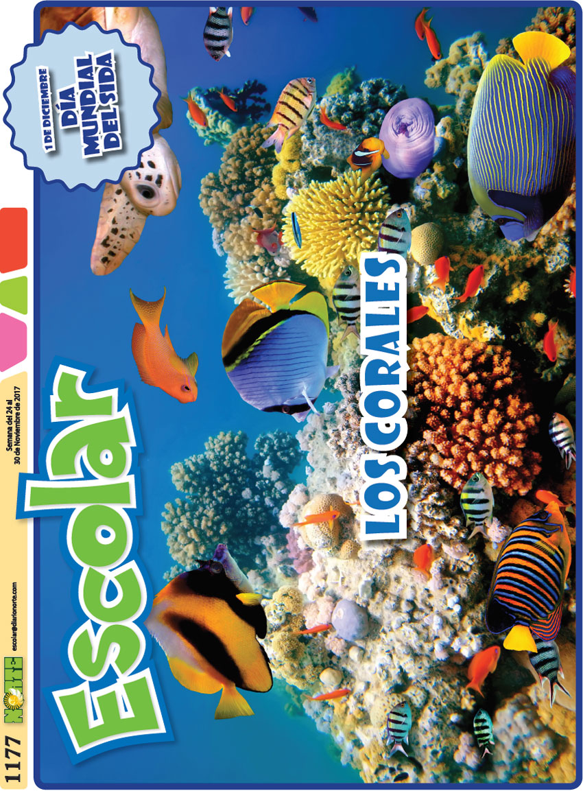 Los corales