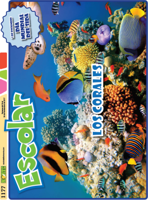 Los corales