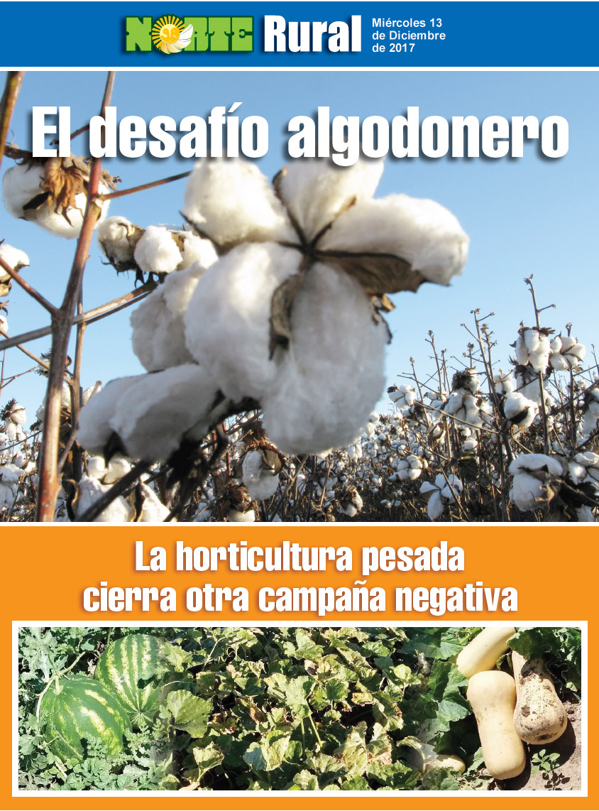 El desafío algodonero