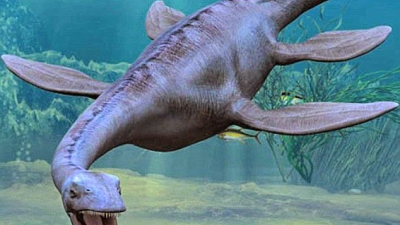 Descubren en la Antártida los restos de un lagarto gigante de más de 150 millones de años