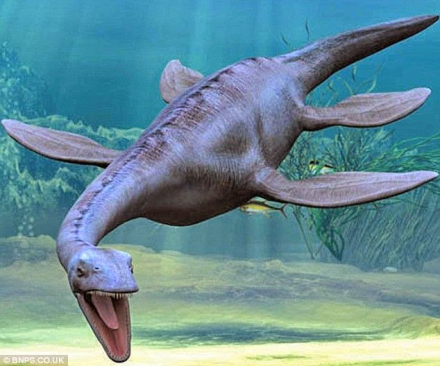 lagarto2.jpg