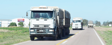 camion.jpg
