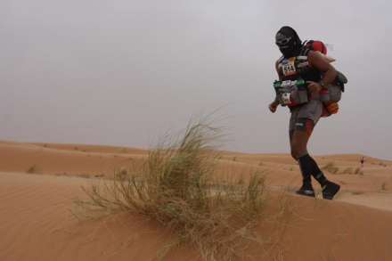 1-250km-sahara.jpg