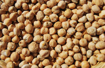 Garbanzo en el Chaco, un cultivo atractivo y promisorio