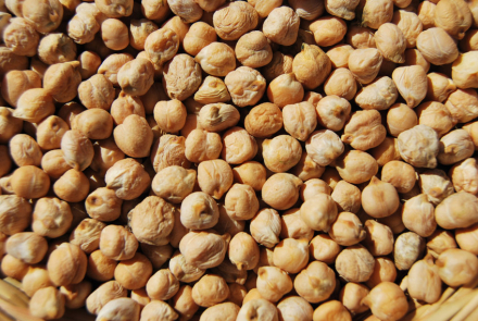 GARBANZO.jpg