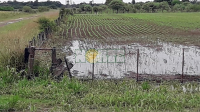 Lanzan una línea de créditos a tasa cero para sectores productivos afectados por las inundaciones