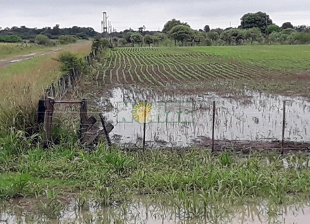 campo inundado.jpg