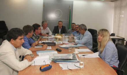comision.jpg